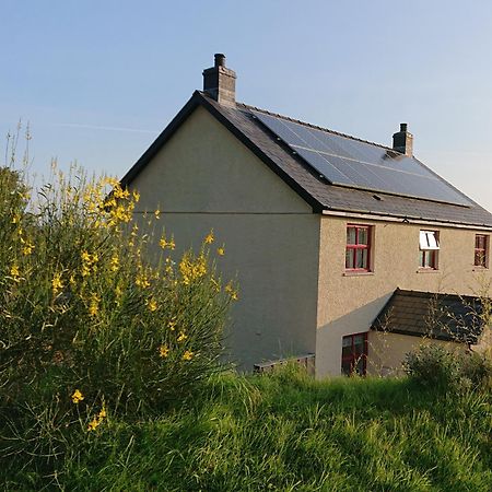 Treberfedd Farm Cottages And Cabins Lampeter Kültér fotó