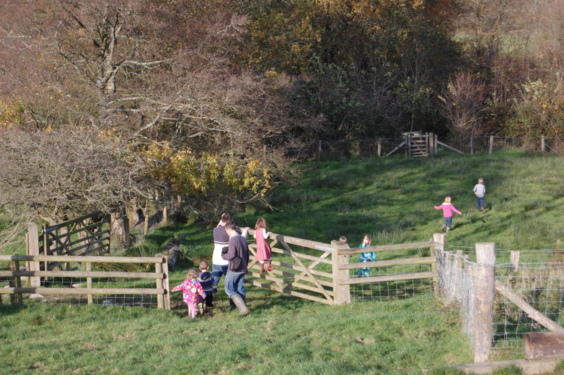 Treberfedd Farm Cottages And Cabins Lampeter Kültér fotó